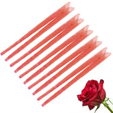AW Gifts, Scented Ear Candles - GREEN LIFE CYPRUS